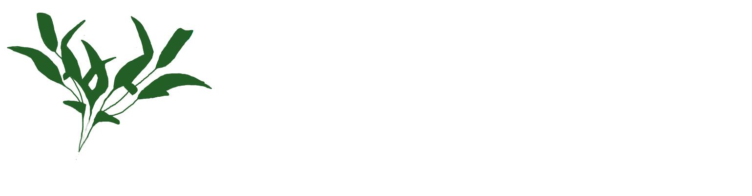 House of Africa Logo